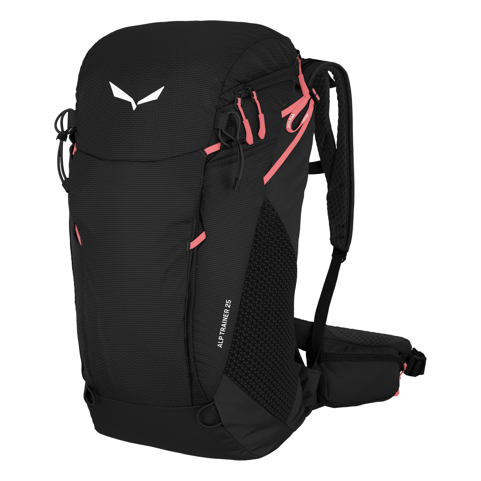 backpack SALEWA Alp Trainer 25L black out