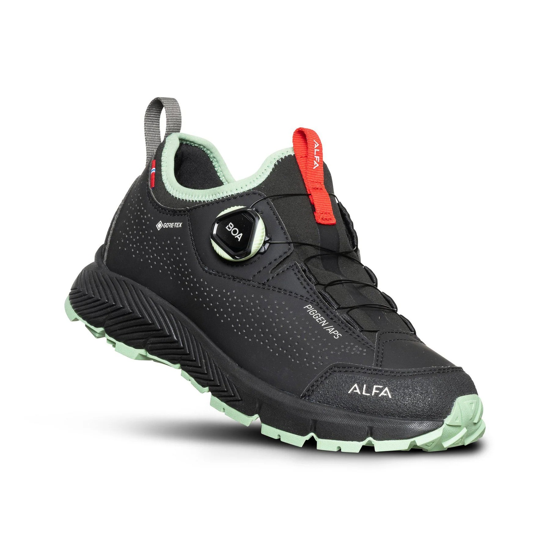 shoes ALFA Piggen A/P/S GTX W black